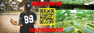 стафф Краснокаменск