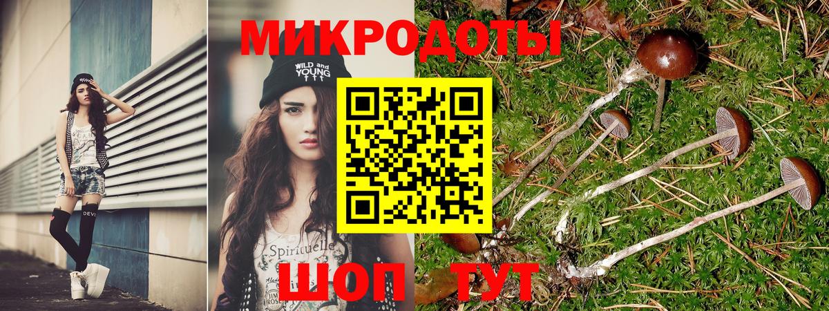 Егорьевск  Галлюциногенные грибы прущие грибы  Вход с VPN 